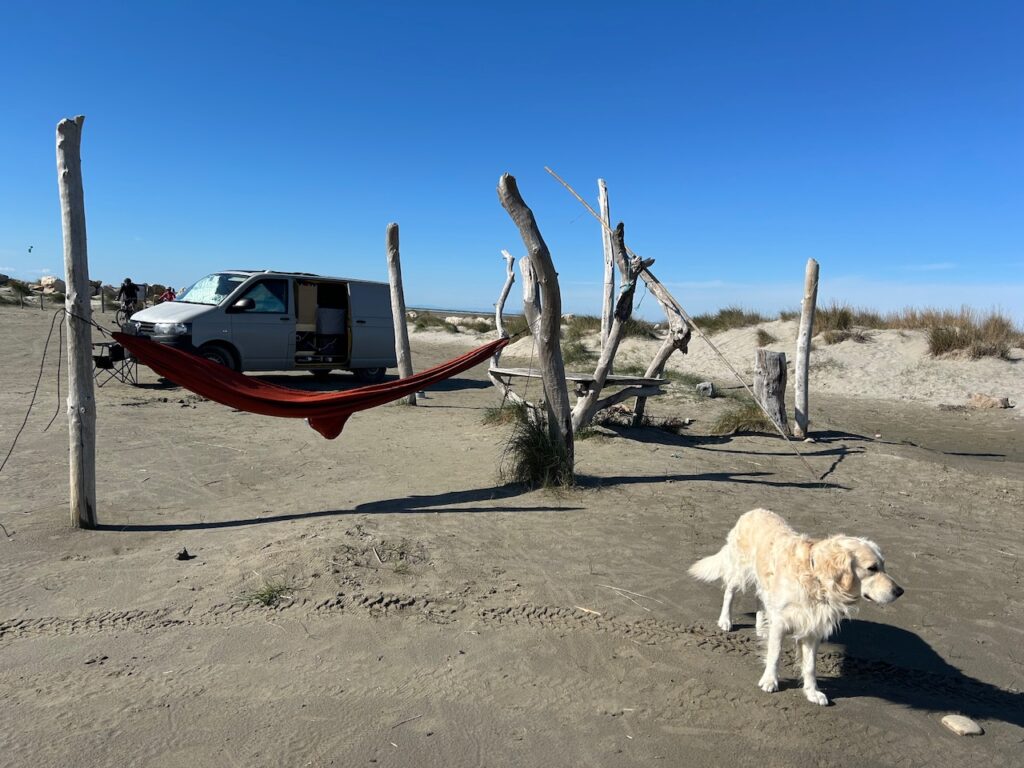 Dog Finn and Van Bullifant on a beach